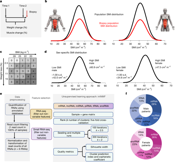 Molecular subtypes of human skeletal muscle in cancer cachexia