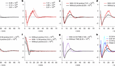 Stabilizing effect of amino acids on protein and colloidal dispersions