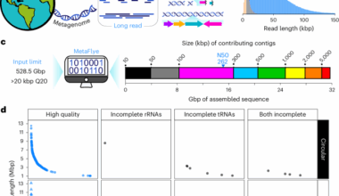 Bioactive molecules unearthed by terabase-scale long-read sequencing of a soil metagenome