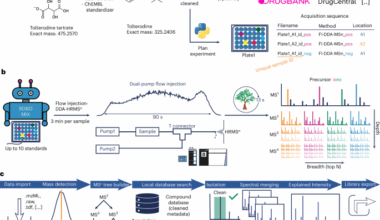 MSnLib: efficient generation of open multi-stage fragmentation mass spectral libraries