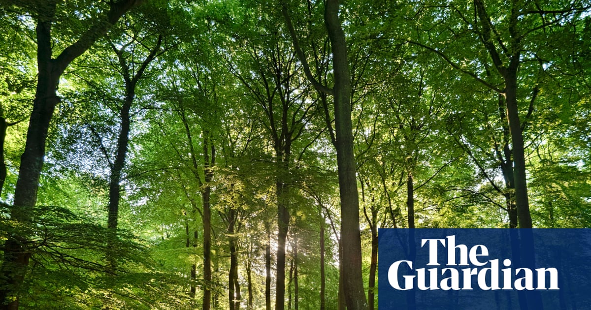 Area of England well protected for nature is in decline, data shows | Conservation