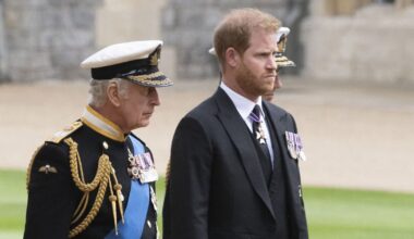 Why Prince Harry, King Charles may not reconcile - Celebrity News - Entertainment