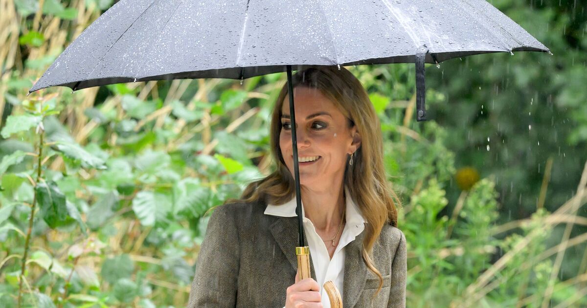 Princess Kate will meet with Harry if he meets one key requirement - Royals - News