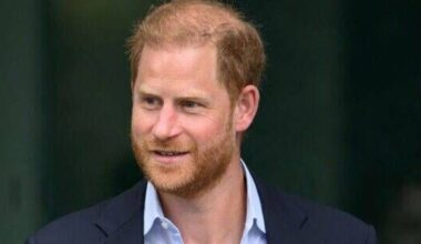 Prince Harry's trip dubbed 'huge success' as royal set for 'image reset' - Celebrity News - Entertainment