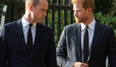 Prince William's 'resentment' towards Harry and 'disappointment' over meeting - Celebrity News - Entertainment