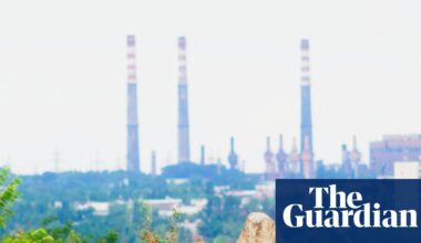 Nature has a remarkable way of recovering from human catastrophe | Environment