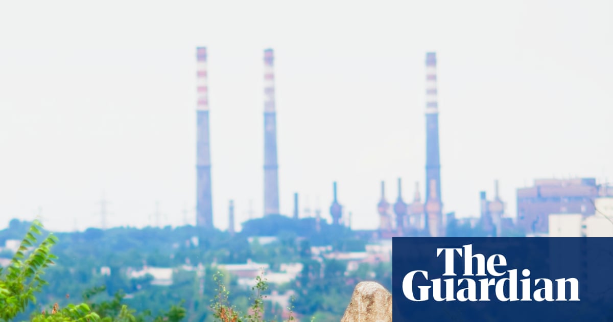 Nature has a remarkable way of recovering from human catastrophe | Environment