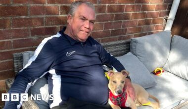 Bristol man and puppy seriously injured in Whitchurch hit-and-run