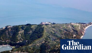 Survivor’s island: coyotes seen paddling across deep San Francisco Bay waters | San Francisco