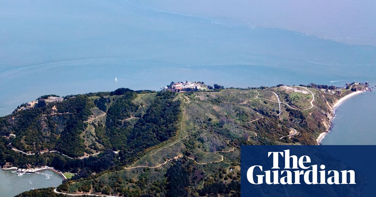 Survivor’s island: coyotes seen paddling across deep San Francisco Bay waters | San Francisco