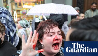 Berlin police investigate after officer punches Irish activist at protest | Protest
