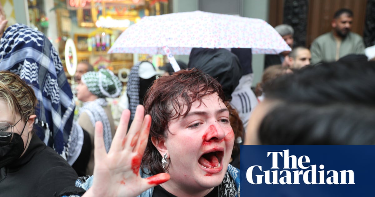 Berlin police investigate after officer punches Irish activist at protest | Protest