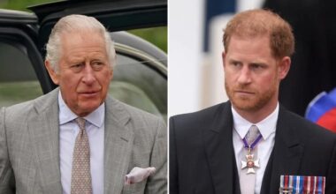 King Charles braces for Prince Harry reunion amid fear of media fallout