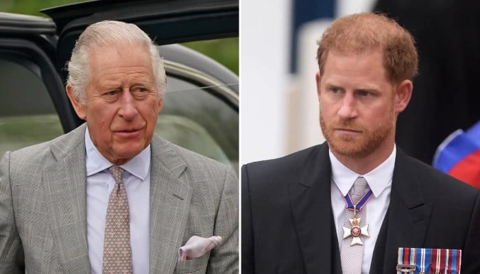 King Charles braces for Prince Harry reunion amid fear of media fallout