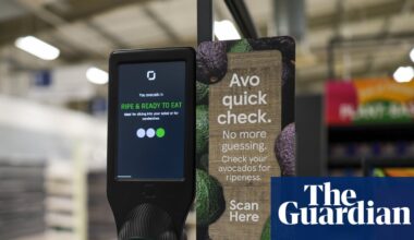 Tesco tries out in-store avocado scanners to assess ripeness | Avocados