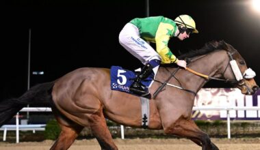 Distillate and Exquisite Acclaim land double for Ado McGuinness at Laytown