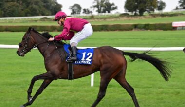 Shane Foley dominates proceedings at Clonmel 