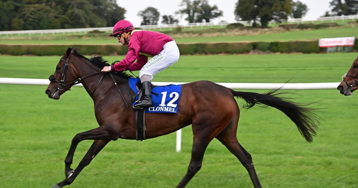 Shane Foley dominates proceedings at Clonmel 