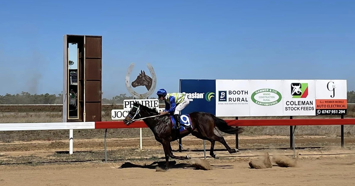 Prairie races to remember former Cup champion :: Racing Queensland