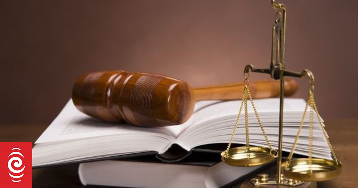 Rare Employment Court ruling against employment advocate