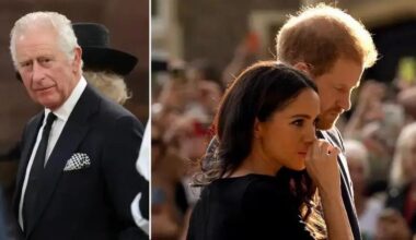 First Contact in 3 Years: King Charles 'Schedules Zoom With Meghan and Grandkids' After Landmark Meeting With Son Harry