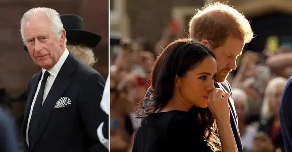 First Contact in 3 Years: King Charles 'Schedules Zoom With Meghan and Grandkids' After Landmark Meeting With Son Harry