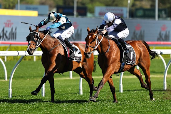 Kerrin McEvoy and Birdman in action at Randwick.