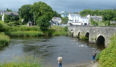 restoring Wales's rivers for a healthier, more vibrant society