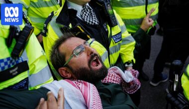 UK police arrest more than 400 at London protest for banned Palestine Action group