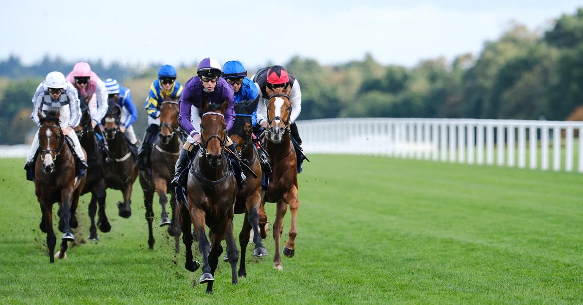 Witness racing history in action at QIPCO British Champions Day 2025