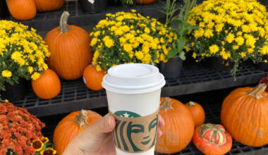 Pumpkin spice lattes aren’t the unhealthiest fall drink for your health — a dietitian ranks 10 of the best and worst from Starbucks, Tim Hortons and Second Cup