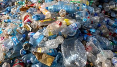 Survival plan could save 138 jobs at Co Cavan recycling firm, examiner says – The Irish Times