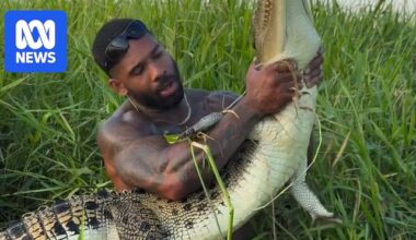 Mike Holston's crocodile videos spark calls for deportation