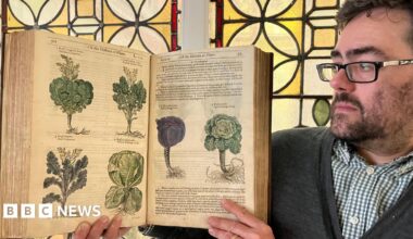 A man holding up an open book the camera. The book is old and features illustrations of plants. The man is on the right of the picture. He has glasses and is wearing a blue and white checked shirt and a grey cardigan.