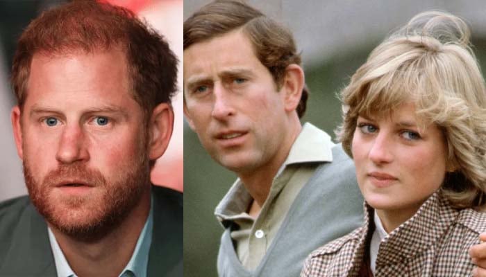 Harry’s Netflix documentary about Diana seen as ‘revenge’ against Charles