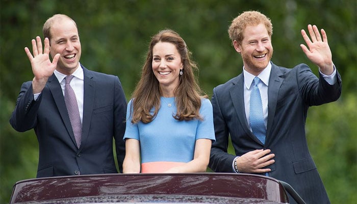 Kate Middleton seen as key to Prince Harrys reconciliation with King Charles, Prince William