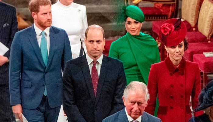 Expert doubts Prince Harry’s return signals royal family comeback