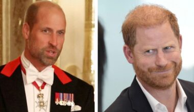 Real reason for Prince Harry and Prince William's rift laid bare | Royal | News