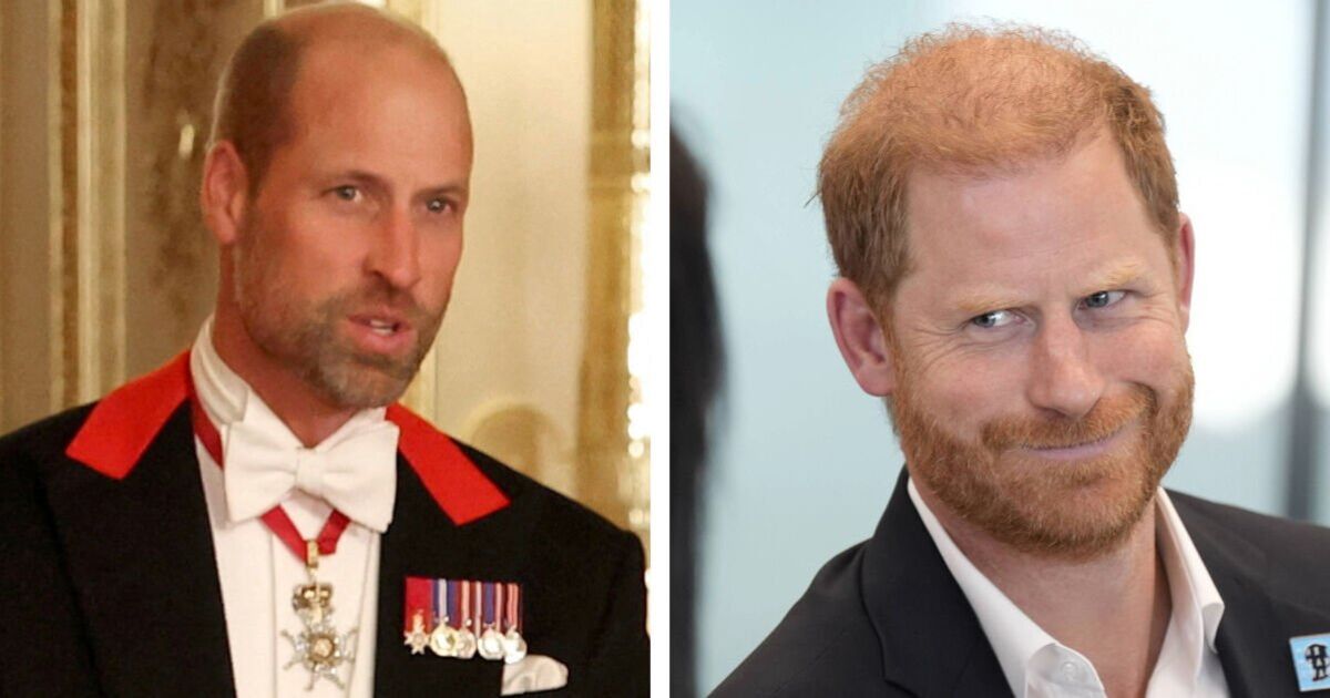 Real reason for Prince Harry and Prince William's rift laid bare | Royal | News