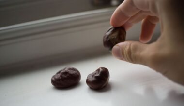 UK households urged not to pick up conkers this autumn for one reason | UK | News