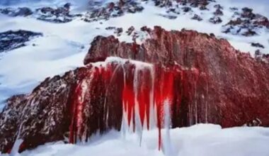 The eerie 'blood' waterfall flowing from a glacier for centuries | World | News