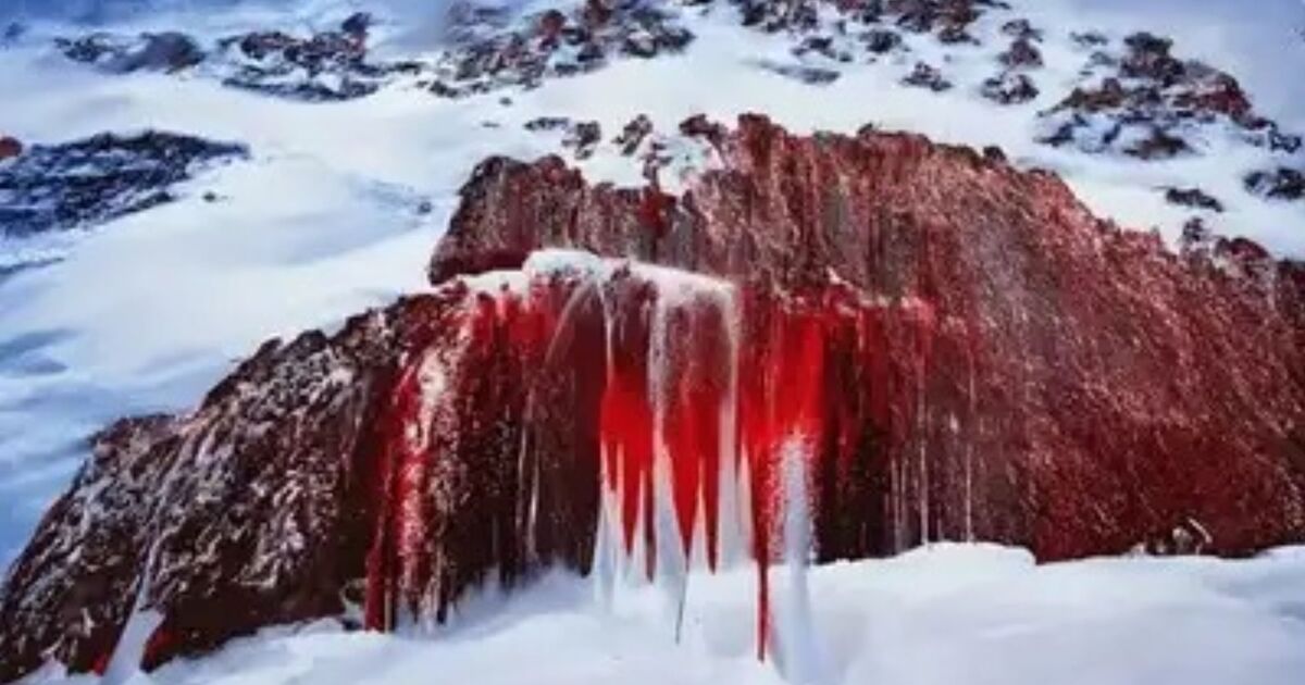 The eerie 'blood' waterfall flowing from a glacier for centuries | World | News