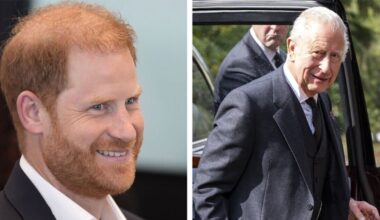 Prince Harry 'offered olive branch' to the King during Trump's visit | Royal | News