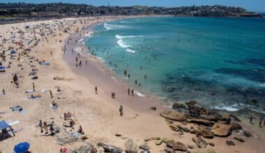 Hundreds of UK workers asked to move to Australia for in demand roles | UK | News