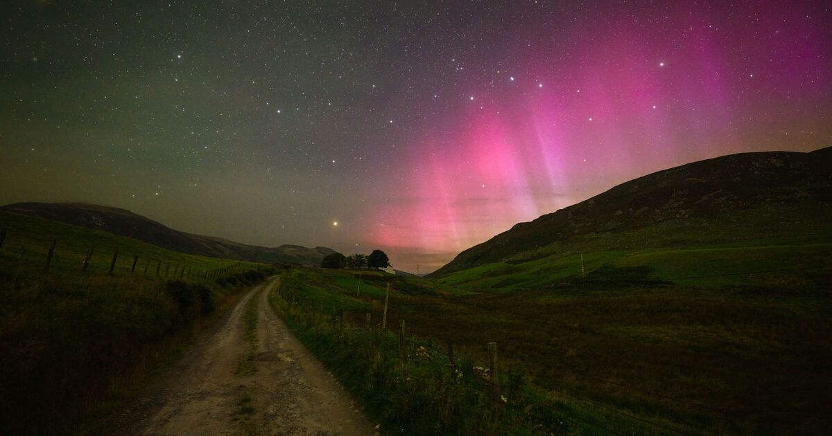 Northern Lights visible in UK tonight as 'red alert' issued for Aurora Borealis | UK | News