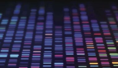 How MUSC is changing the future of health in South Carolina