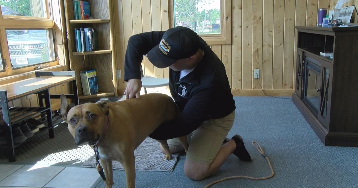 Northwoods chiropractor helps animals in need of an adjustment. | Local News