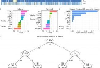 Machine Learning Modeling Identifies Hypertrophic Cardiomyopathy Subtypes with Genetic Signature