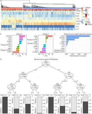 Machine Learning Modeling Identifies Hypertrophic Cardiomyopathy Subtypes with Genetic Signature