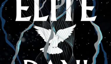 Enchanting romantasy: Novel creates new world, entices readers to stick around | Living